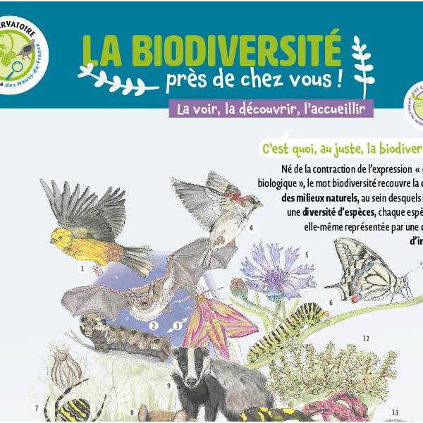 Fiche pédagogique : La biodiversité près de chez vous ! Image de prévisualisation