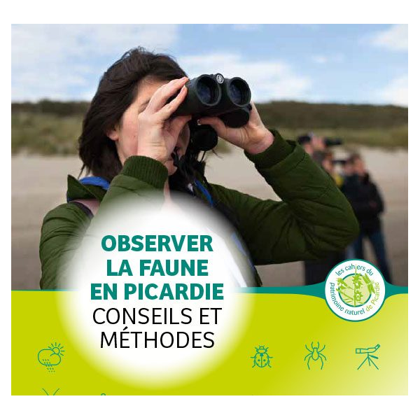 Guide d'observation de la faune en Picardie : méthodes et conseils Image de prévisualisation