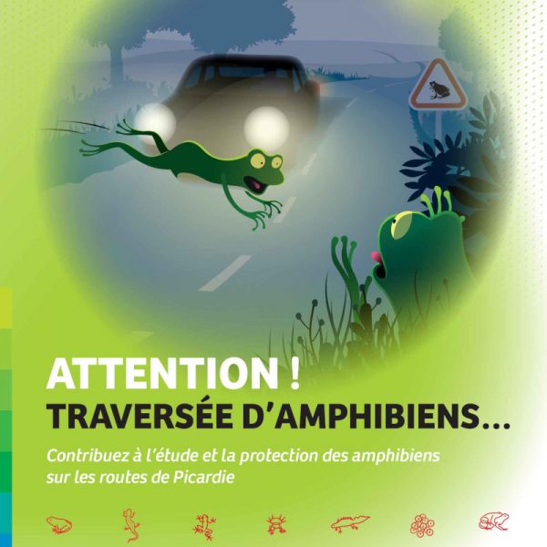 Attention, traversée d'amphibiens Image de prévisualisation