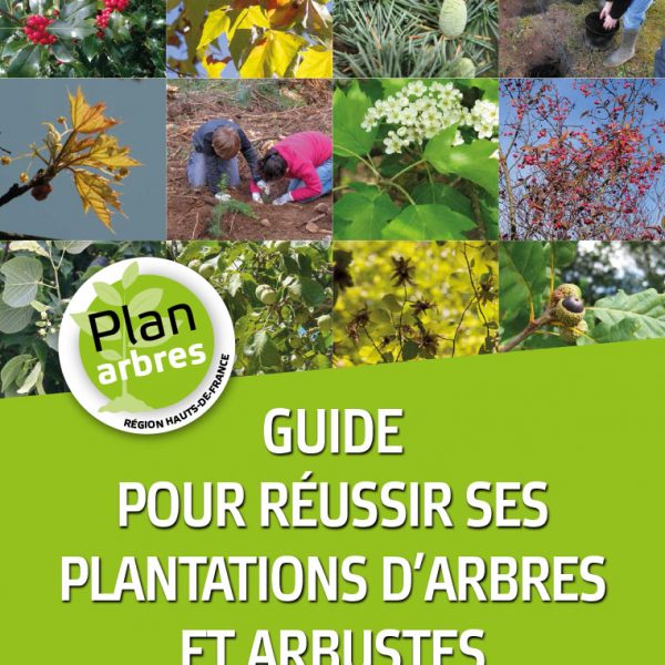 Le guide pour réussir ses plantations d’arbres et arbustes Image de prévisualisation